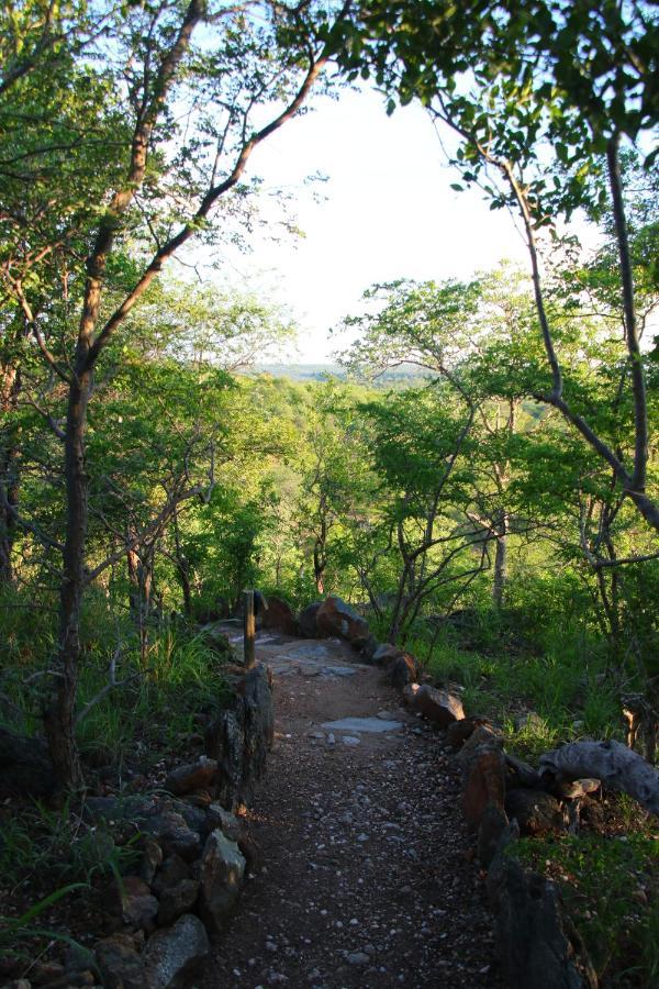 Parsons Hilltop Safari Camp Balule Game Reserve Bagian luar foto