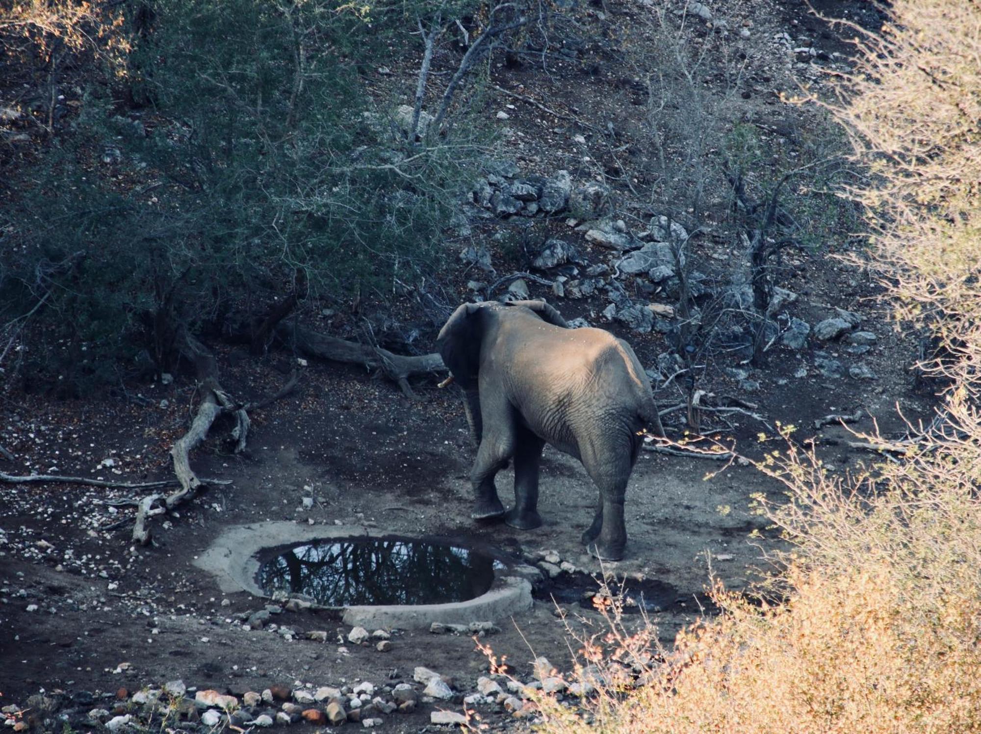 Parsons Hilltop Safari Camp Balule Game Reserve Bagian luar foto
