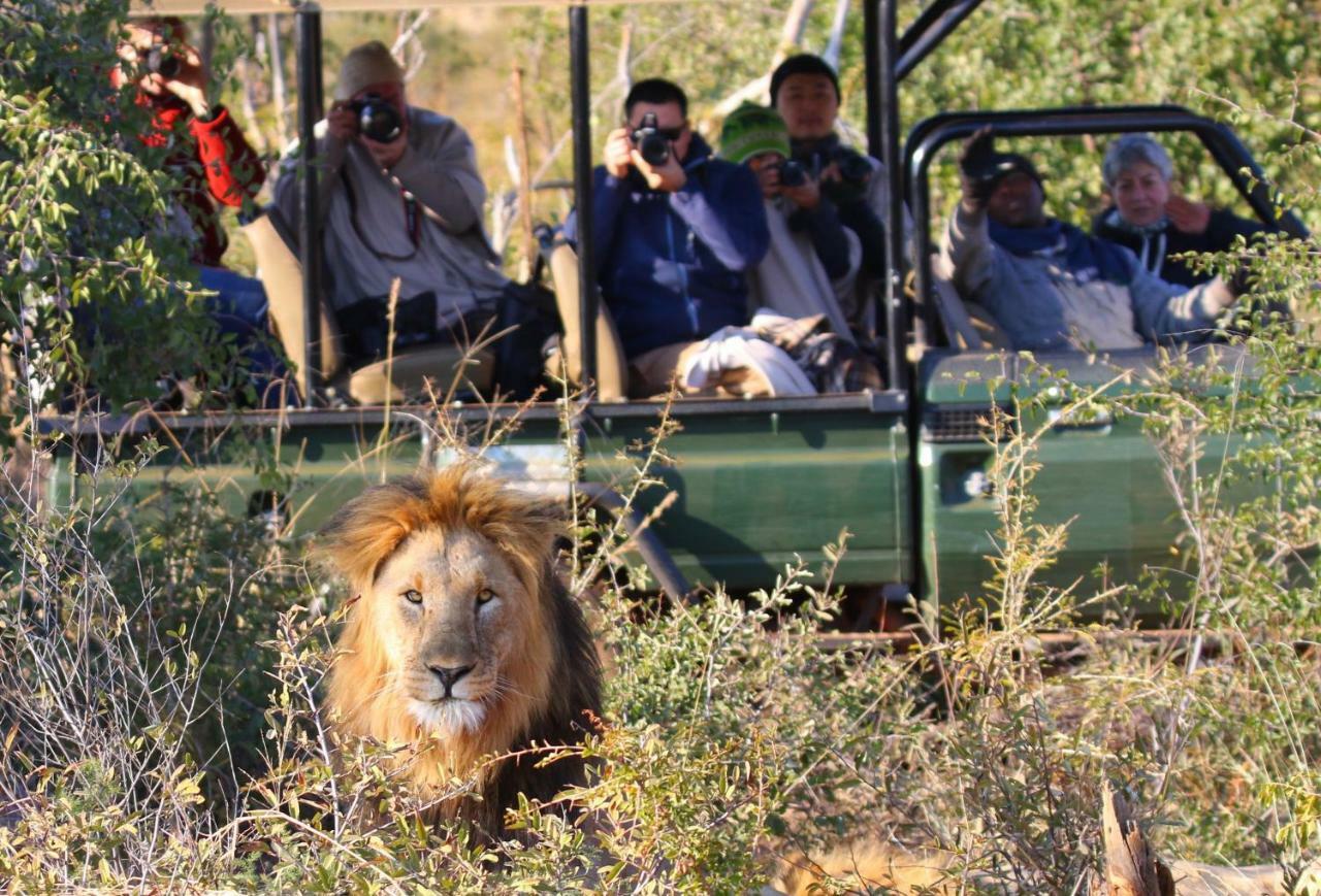 Parsons Hilltop Safari Camp Balule Game Reserve Bagian luar foto