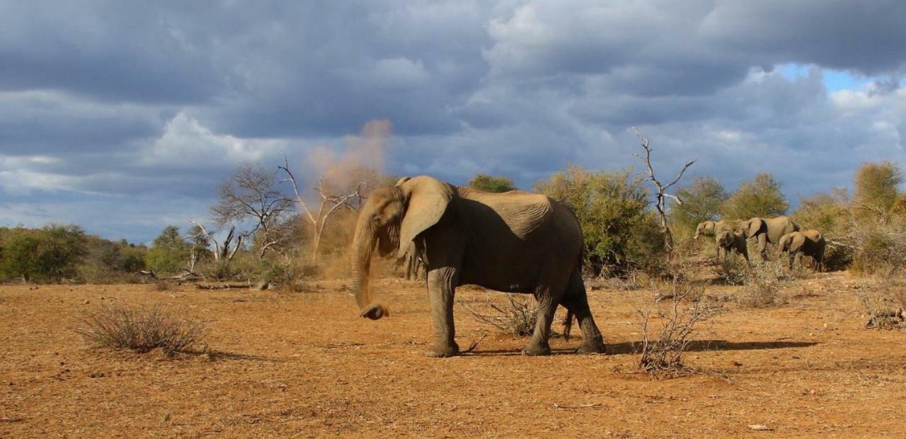 Parsons Hilltop Safari Camp Balule Game Reserve Bagian luar foto