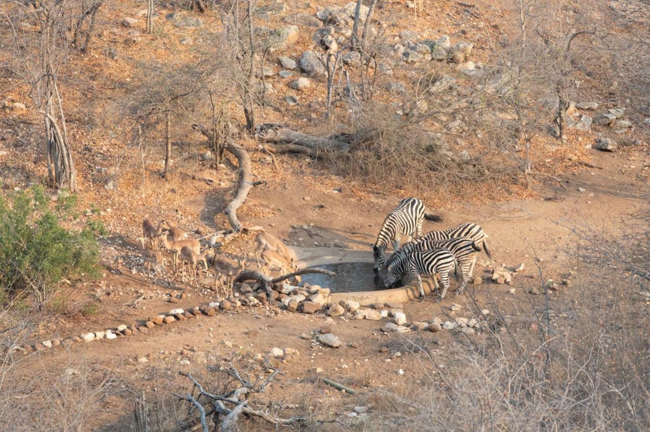 Parsons Hilltop Safari Camp Balule Game Reserve Bagian luar foto